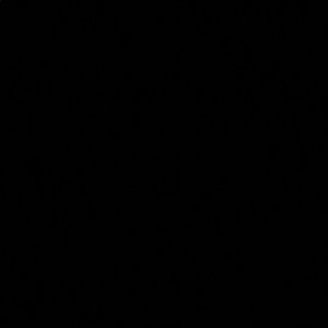 Meet your Posher, Rejs